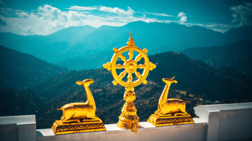 Discovering Buddhism–The Four Noble Truths, part 1-4