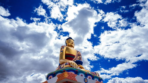 We all have buddha nature
