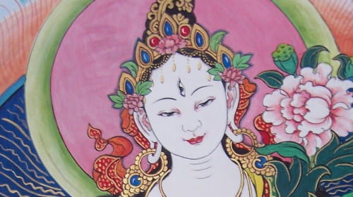Dharma talk—A conversation about Tara