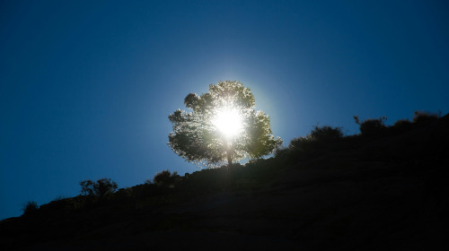 The deathless, unending nature of mind