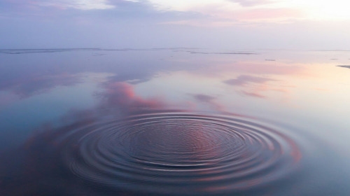 Why meditate?